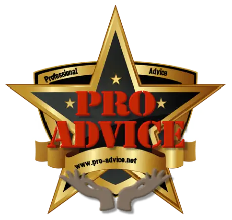 Professional Advice LLC