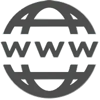 Website Icon