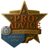 Professional Advice LLC logo with engraved Schedule Now button for booking appointments